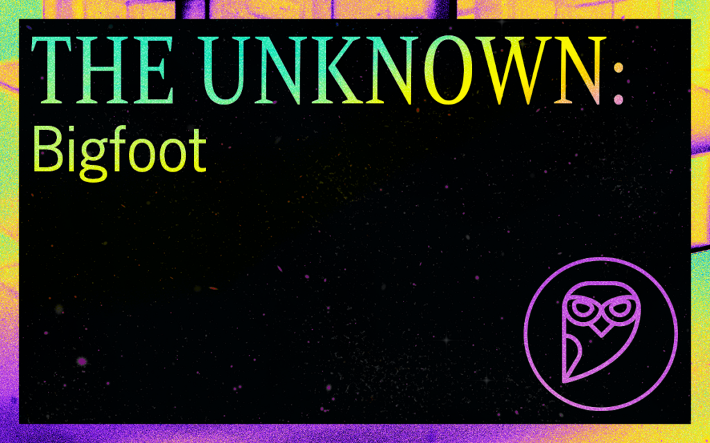 THE UNKNOWN: Bigfoot