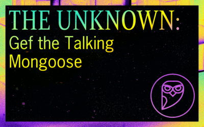 THE UNKNOWN: Gef the Talking Mongoose