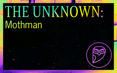 THE UNKNOWN: Mothman