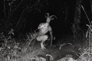 Depiction of the Goatman like the one spotted in Marylan.