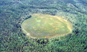 Aerial shot of the Tunguska explosion.