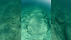 Image of Bimini Road