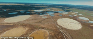 Image of the circular formations found in Doñana National Park in Southern Spain