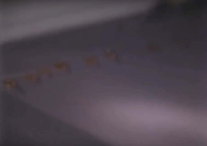 Red liquid that was oozing from Jackie’s walls