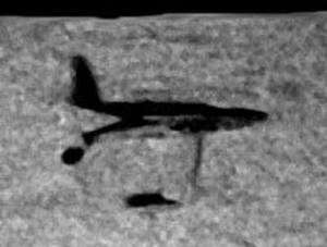 Photo of the alledged sonar image of the missing plane, deep beneath Lake Superior.