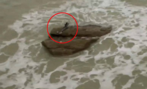 Screenshot of the supposed Mermaid captured in Kiryat Yam courtesy of Animal Planet and Aurora Borealis