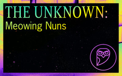 THE UNKNOWN: Meowing Nuns