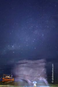 1.) Image of the creature taken on the beach in Siquijor. Courtesy of Petteri Palo SandinMyShoe
