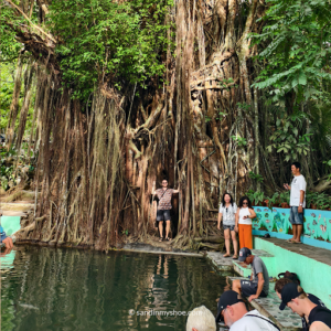 2.) The famed Banyan Tree on Siquijor. Courtesy of Petteri Palo SandinMyShoe